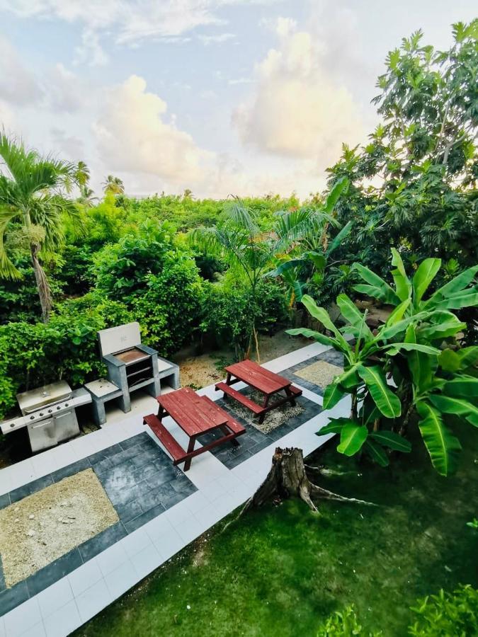 Sol Caribe Suites Deluxe Los Corales Beach And Pool ปุนตากานา ภายนอก รูปภาพ